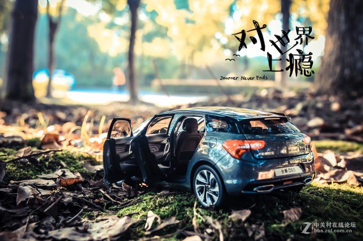 此车模非彼车模