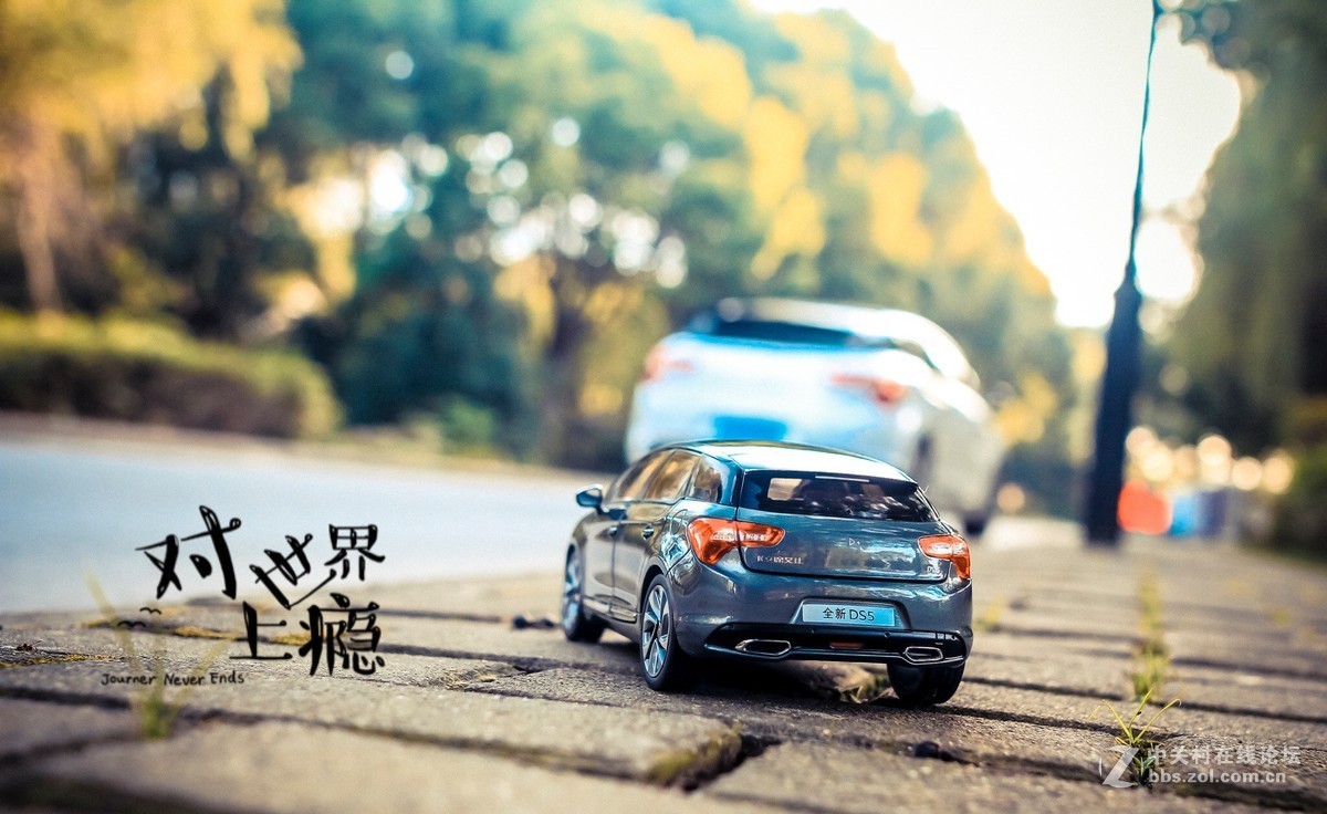 此车模非彼车模