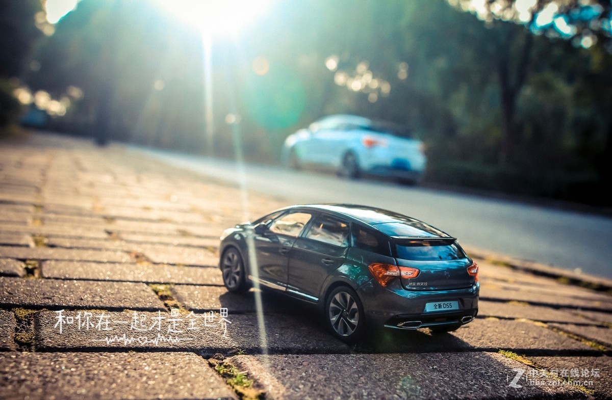 此车模非彼车模