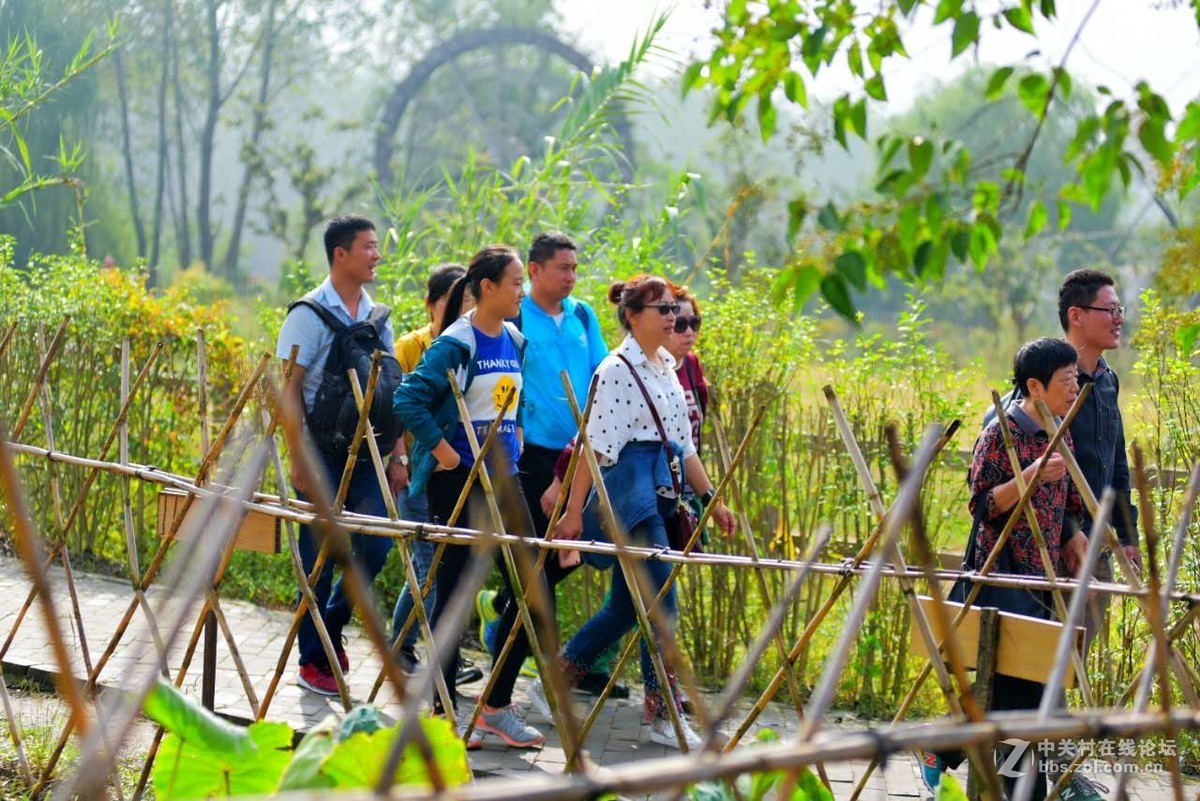 桨声中的溱湖国家湿地公园
