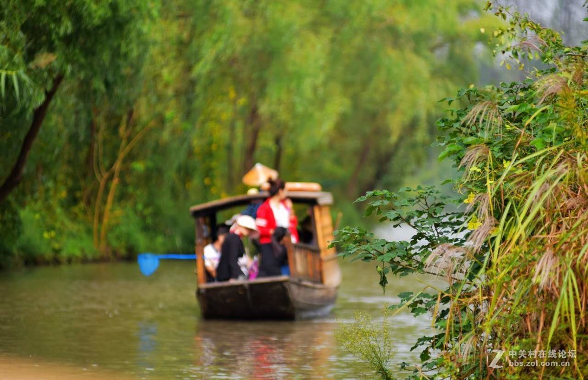 桨声中的溱湖国家湿地公园