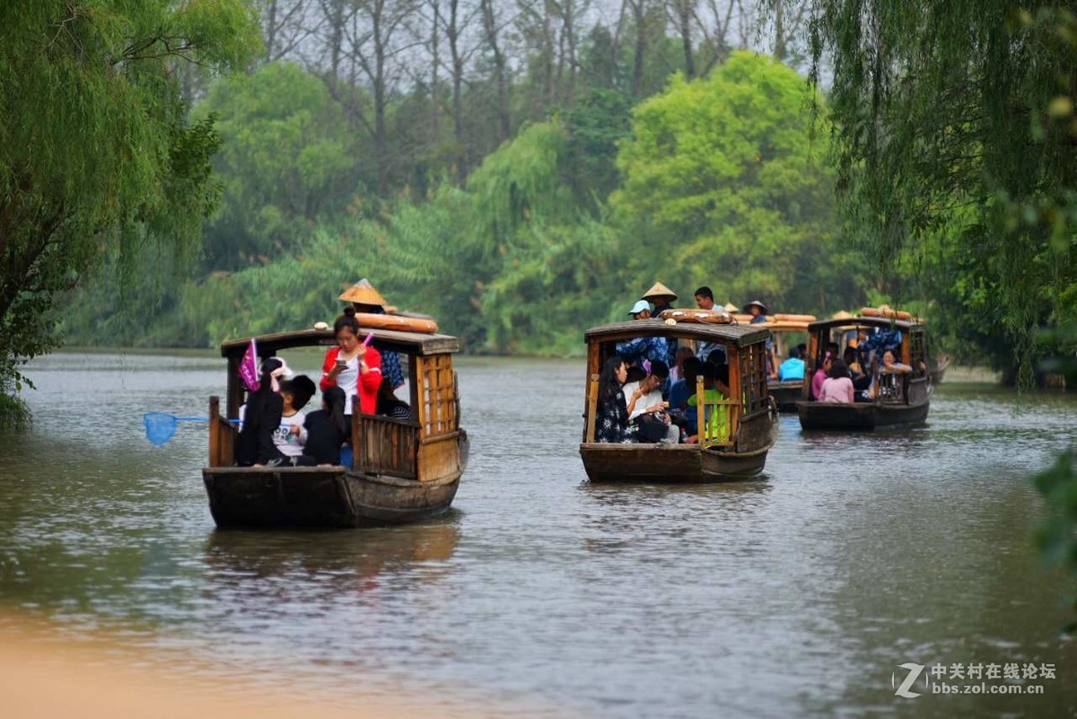 桨声中的溱湖国家湿地公园