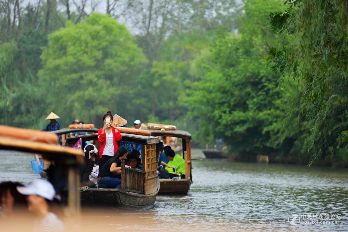桨声中的溱湖国家湿地公园