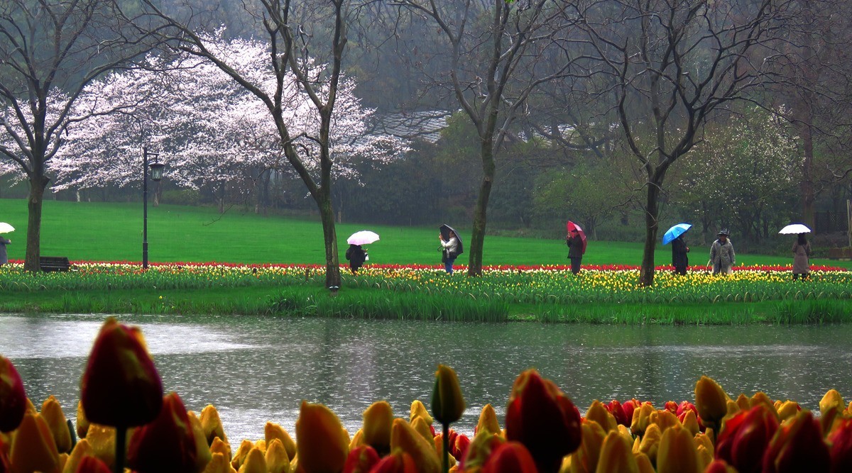 绵绵不断的春雨中