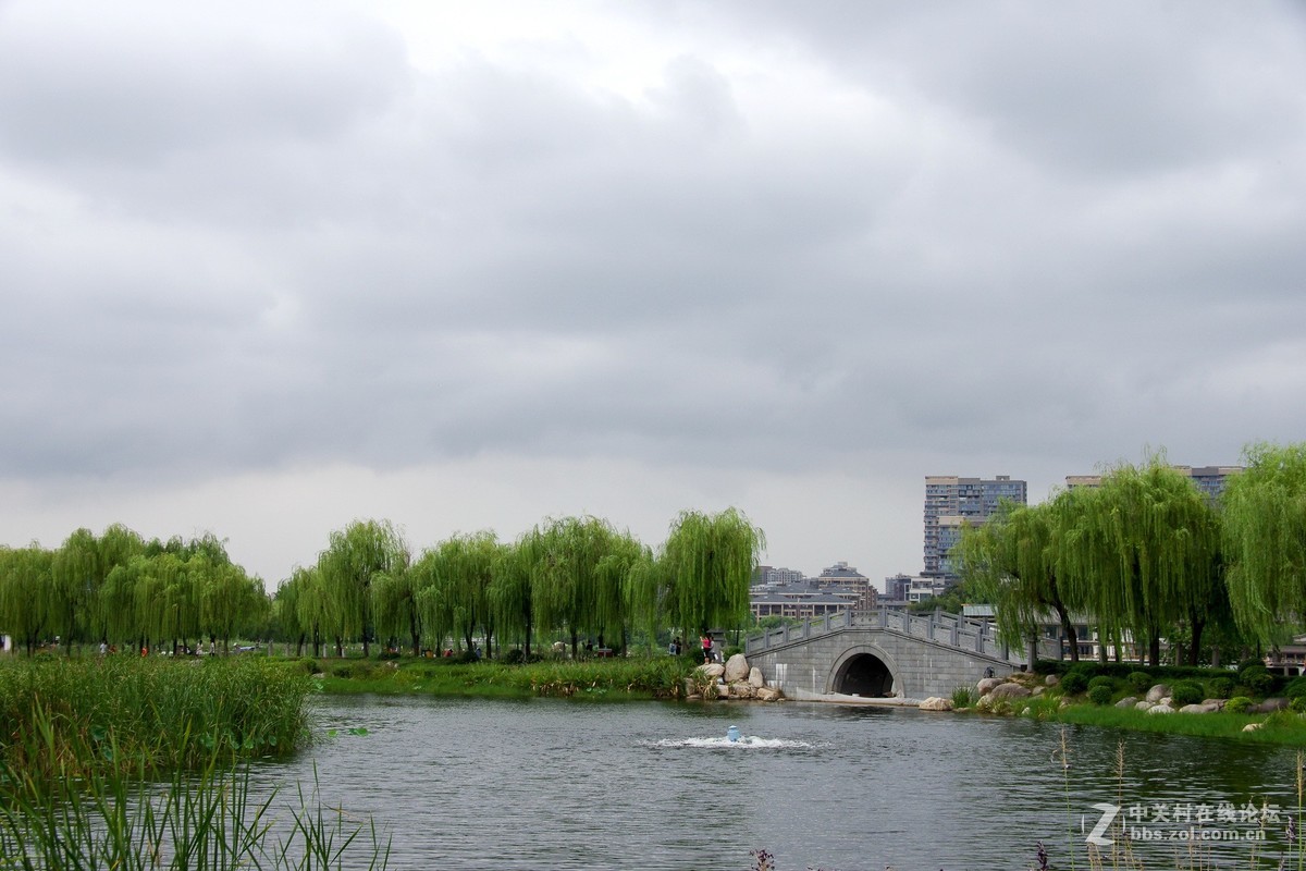 新淘的da18---250试拍