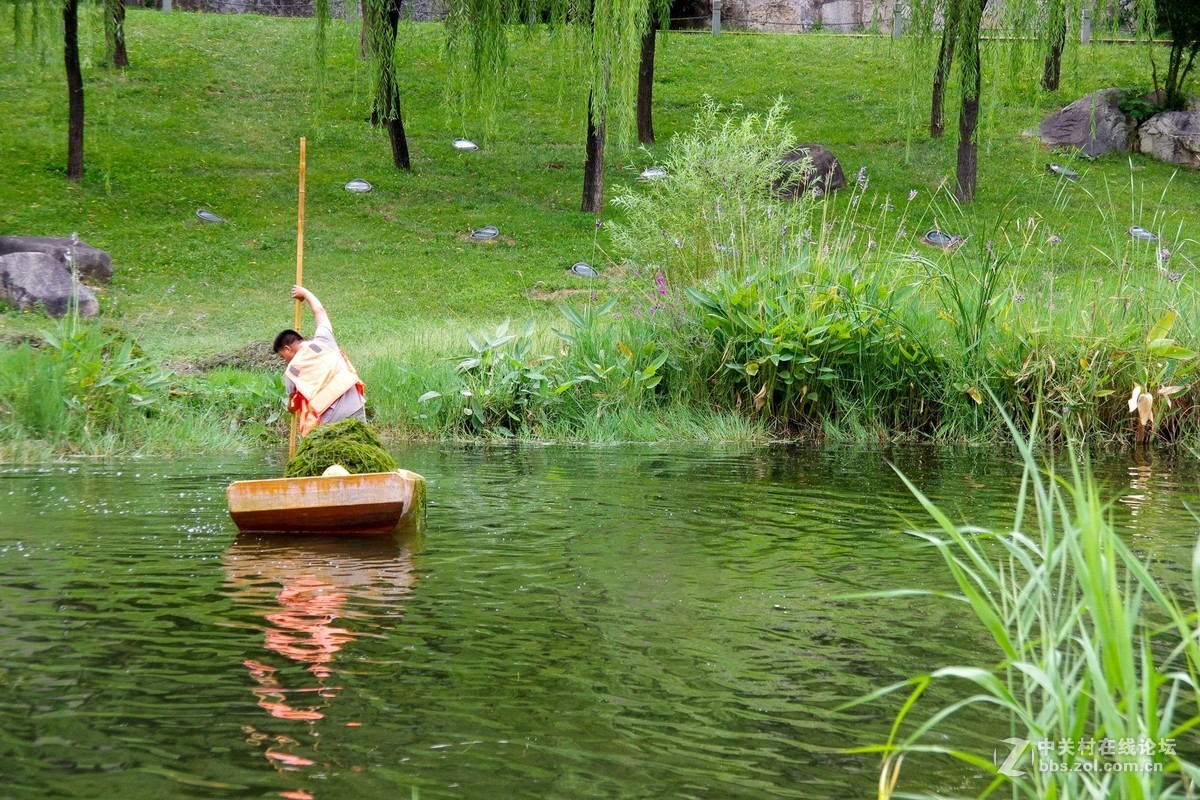 新淘的da18---250试拍