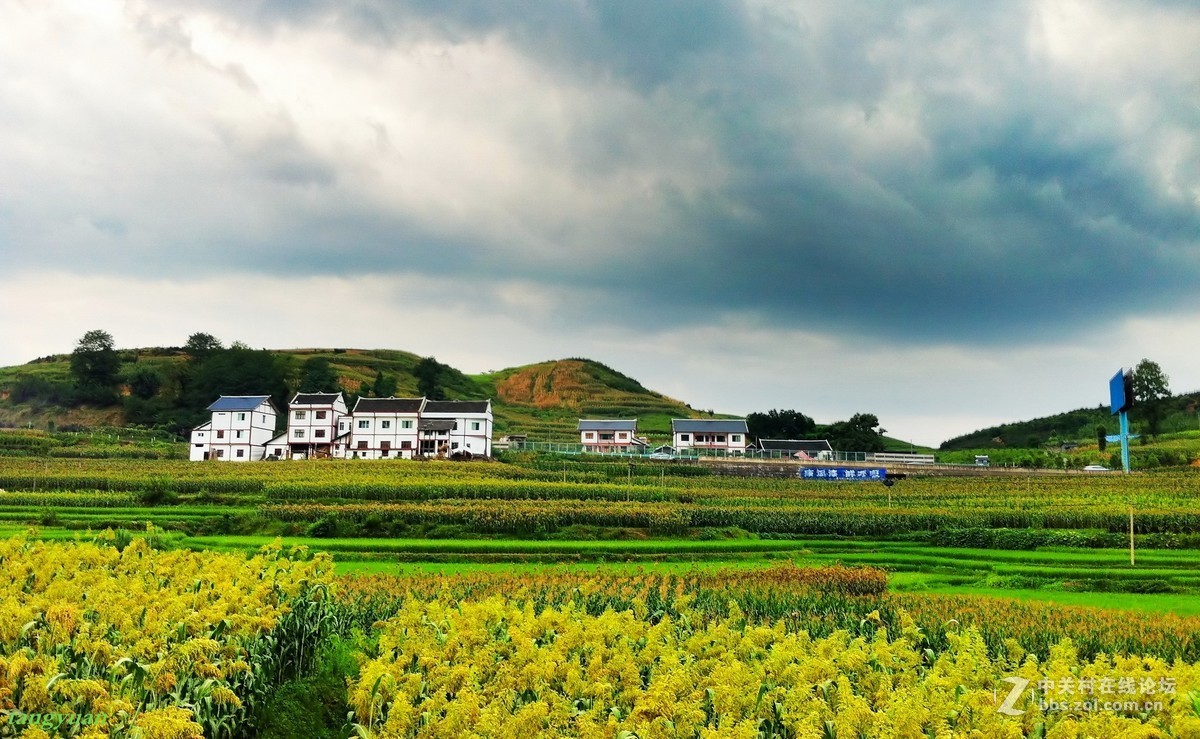 贵州美丽新农村