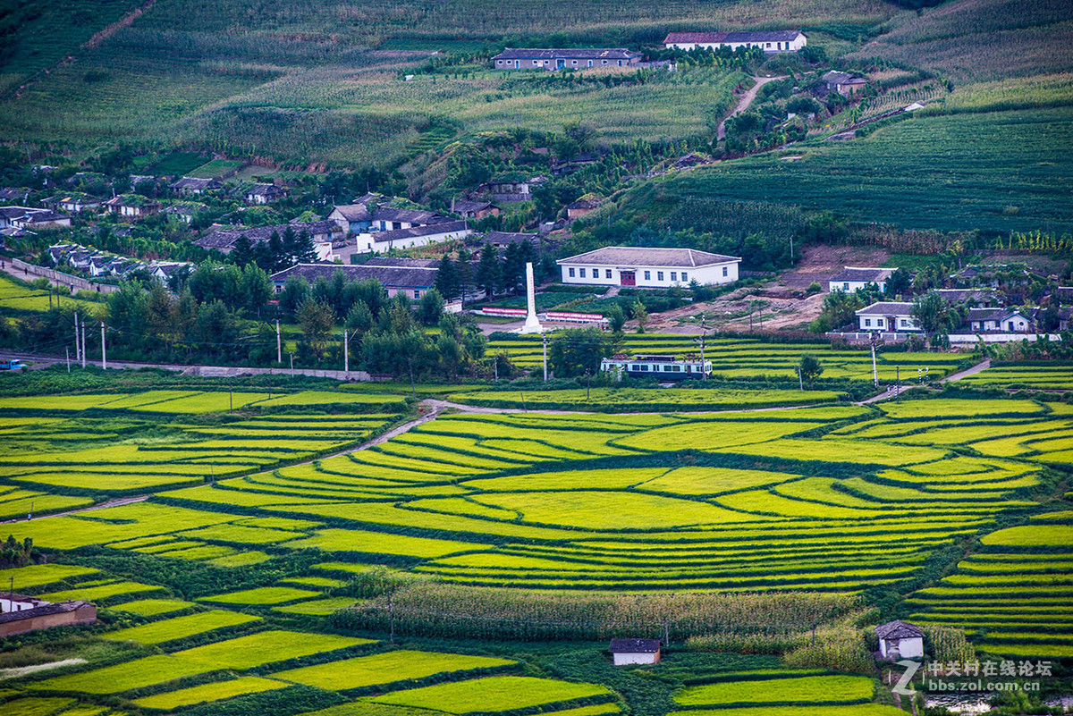 夕阳下的朝鲜梯田2015.9.8.