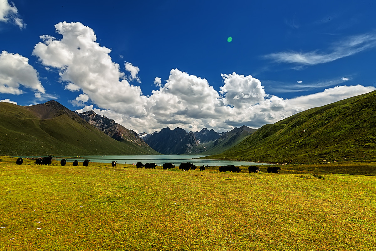 西北风光    青海   《年宝玉则地质公园》