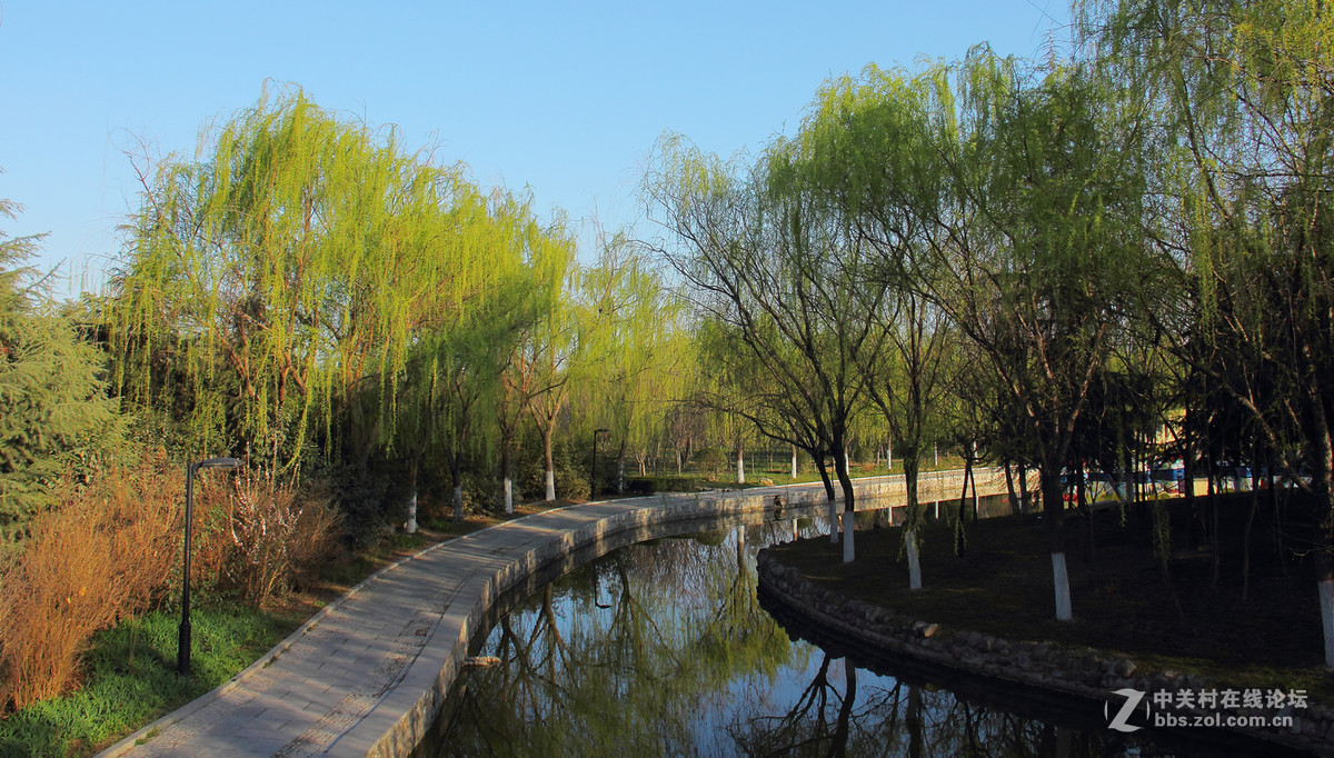 西安閻良公園美麗風光