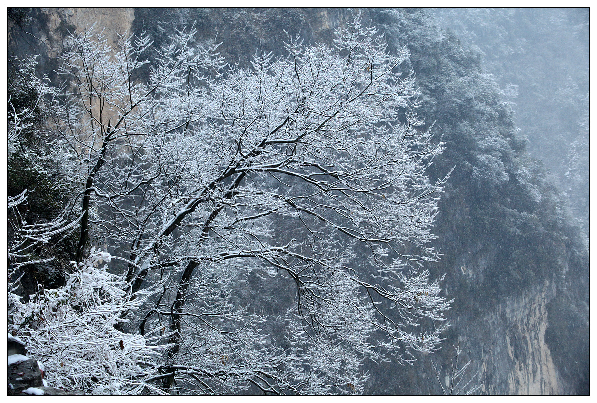 纪实  李白故里风光美