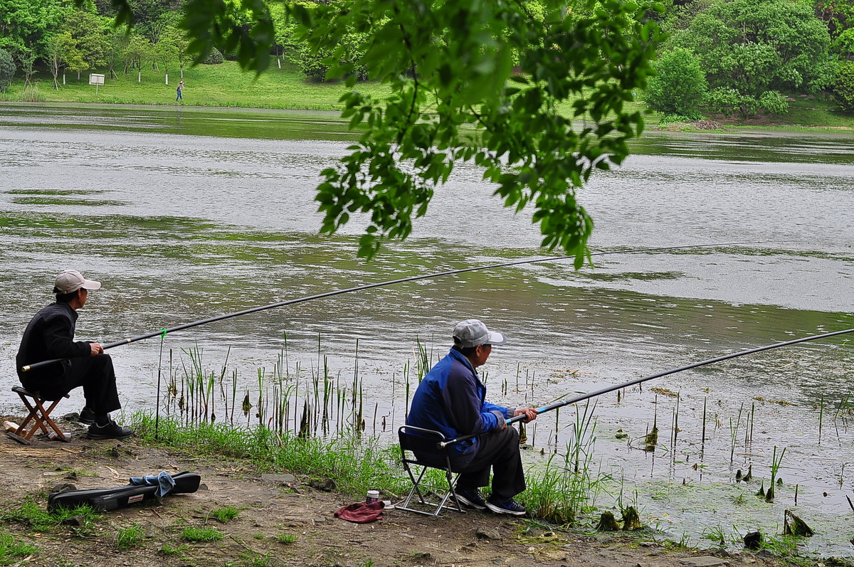 钓鱼是休闲