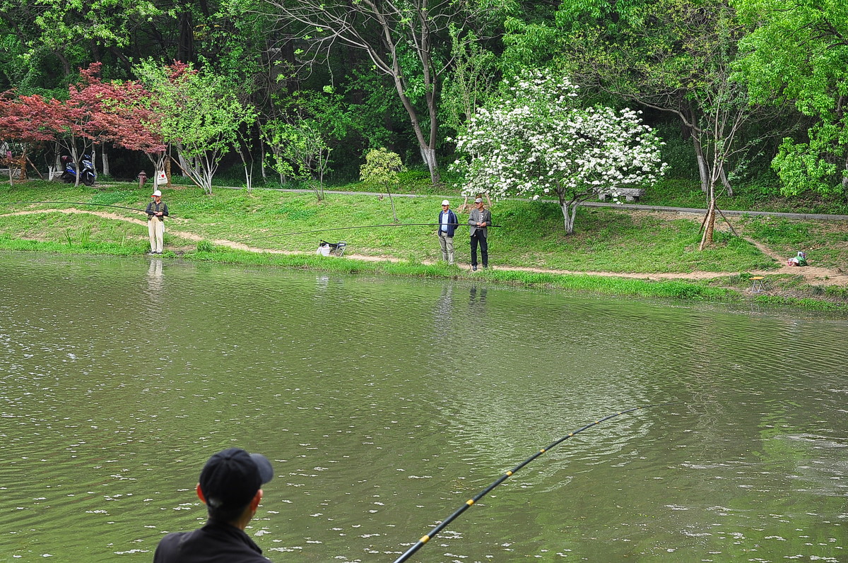 钓鱼是休闲