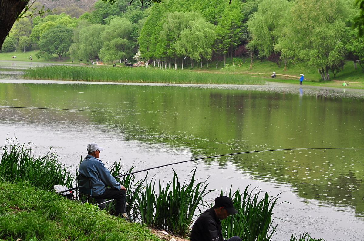 钓鱼是休闲