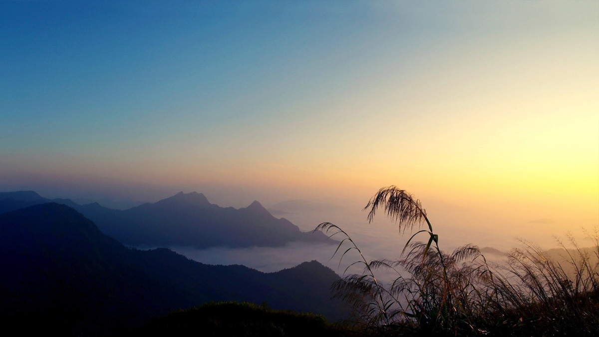 花都港龙拍摄 庐山真面目