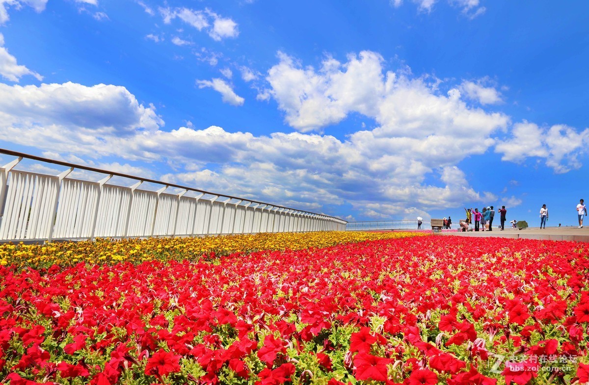 园博园随拍，欢迎朋友指导！