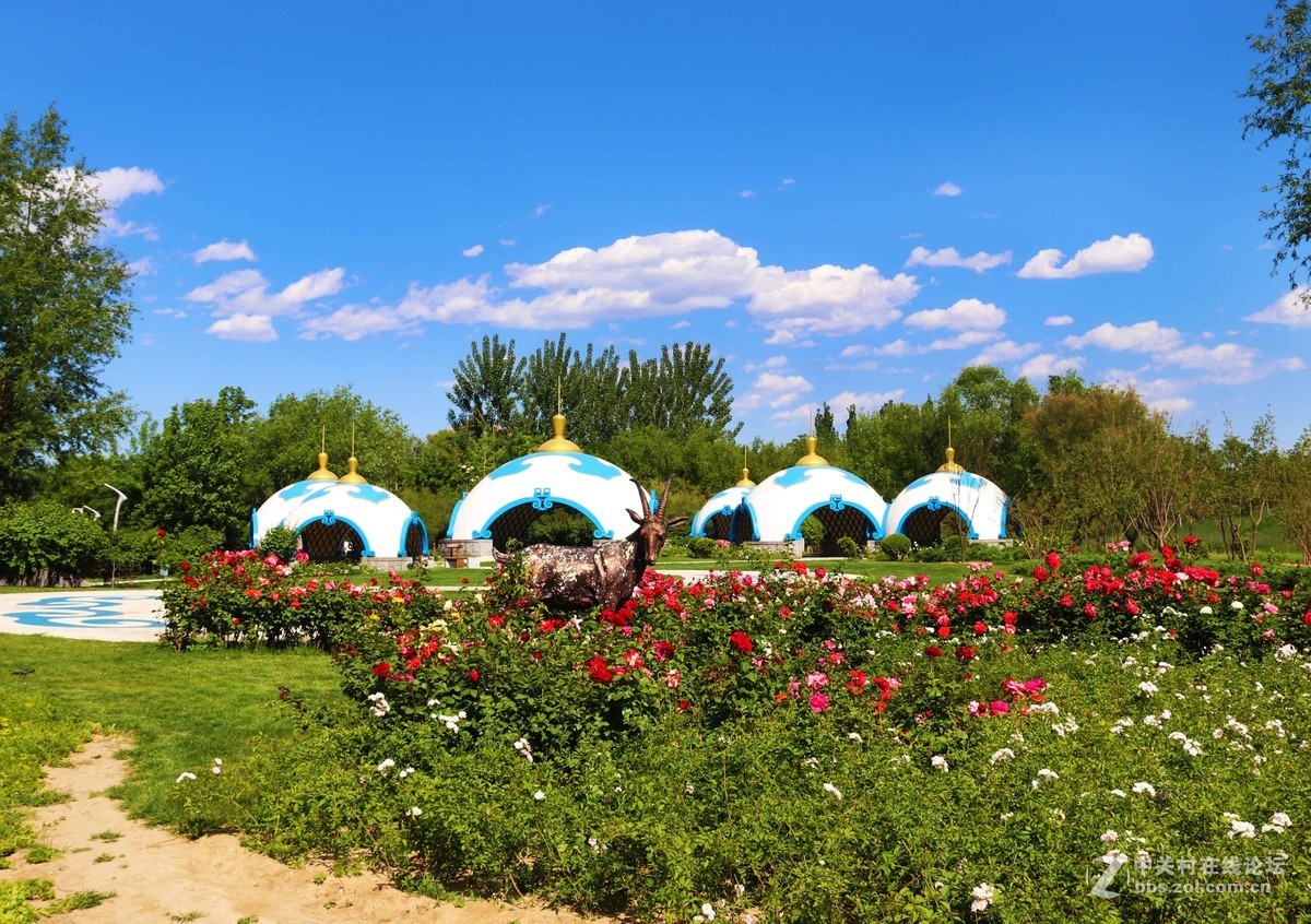 园博园随拍，欢迎朋友指导！