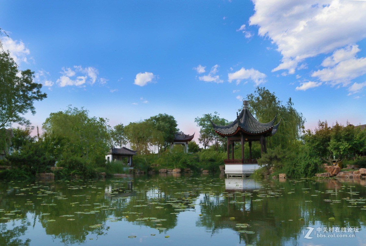 园博园随拍，欢迎朋友指导！