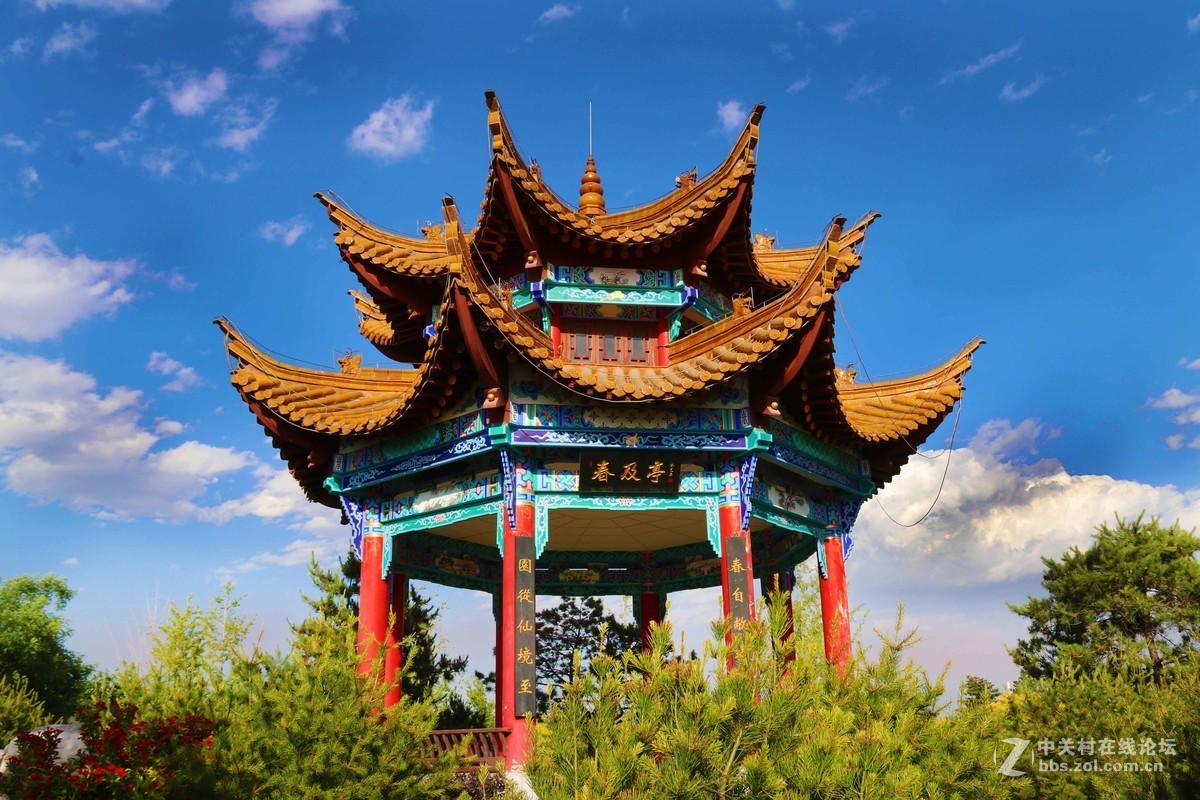 园博园随拍，欢迎朋友指导！