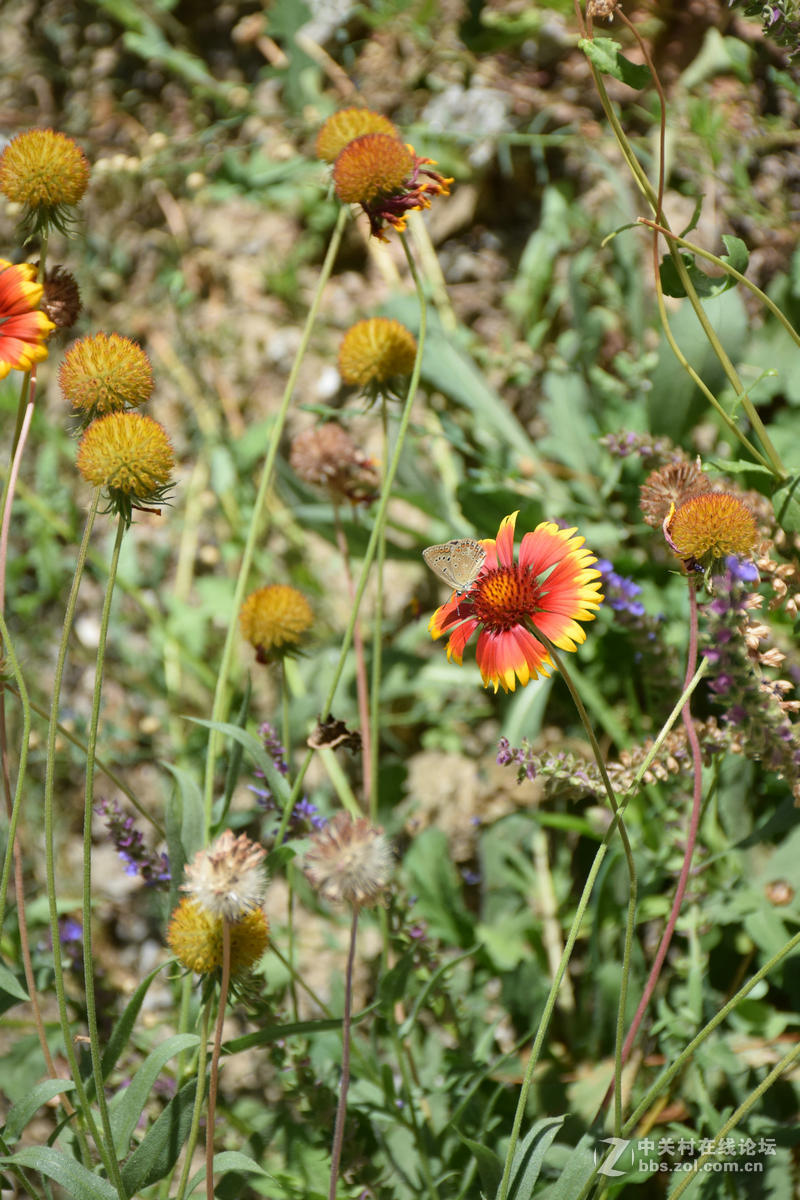 2017夏 长沙到喀什（57）G216一路向北