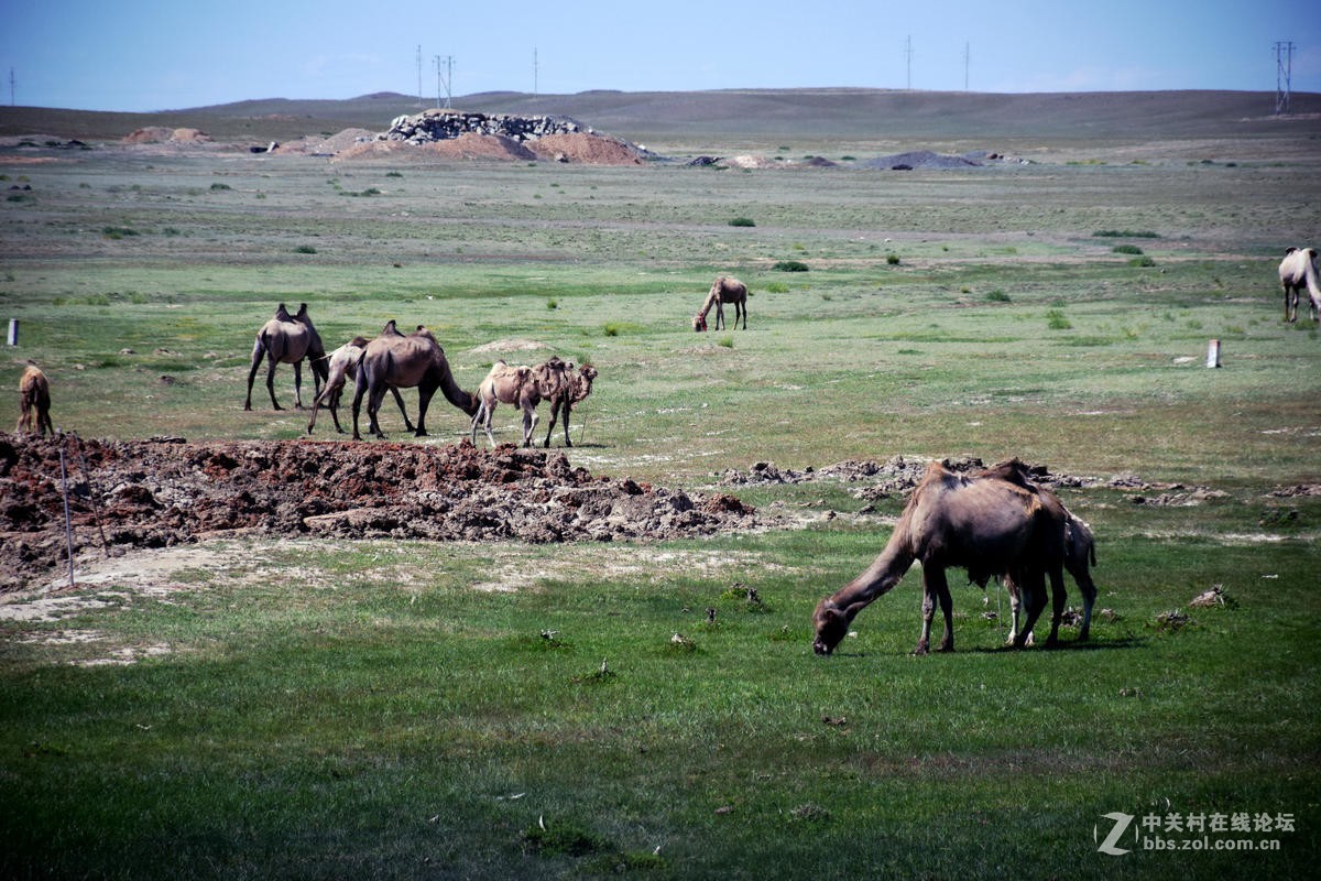 2017夏 长沙到喀什（57）G216一路向北