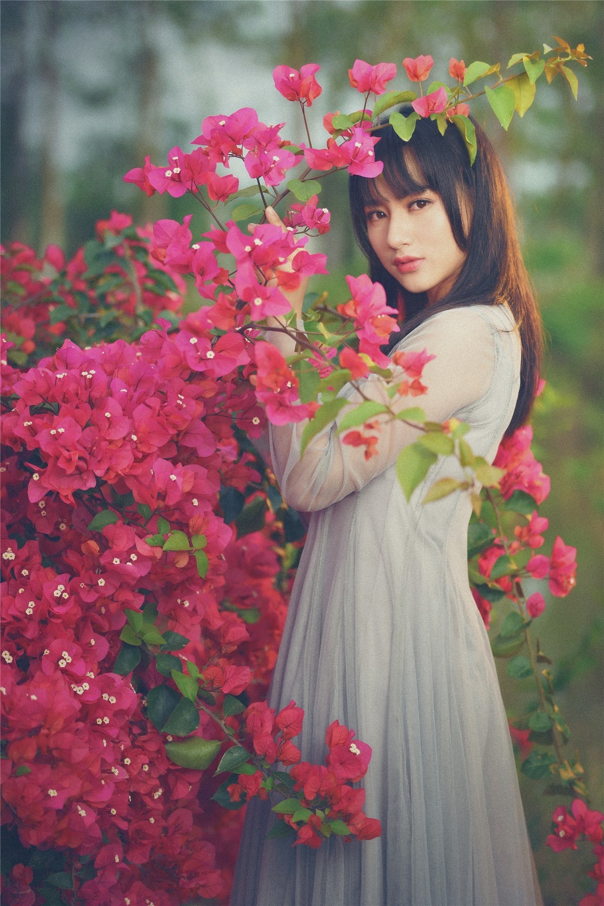朦胧花之恋