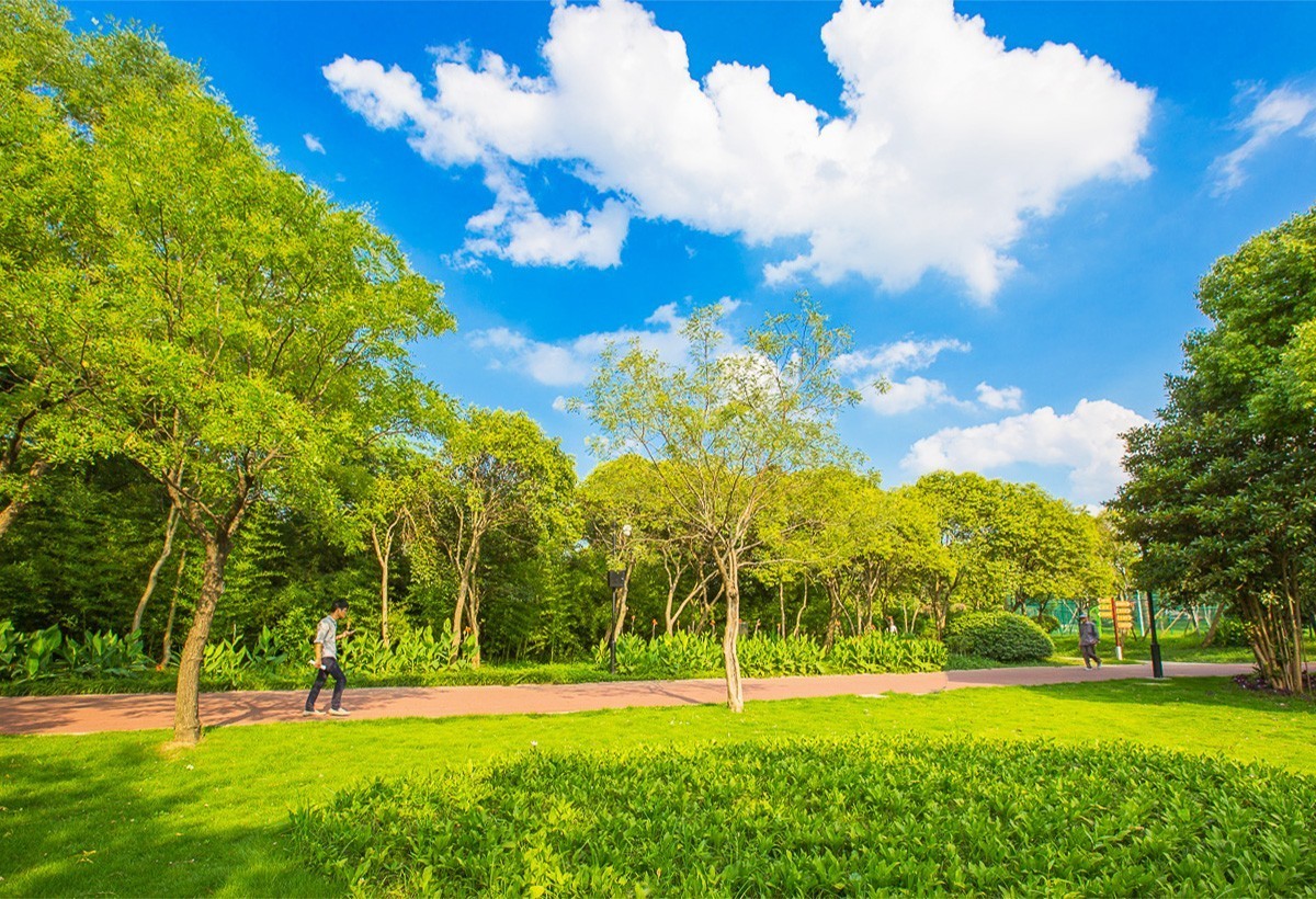 20180720夏日扬子公园三