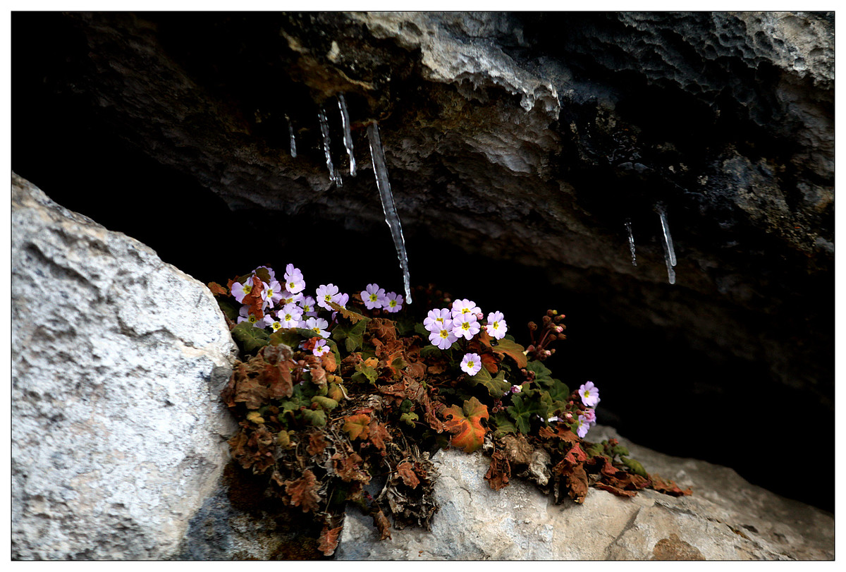 纪实  李白故里风光美