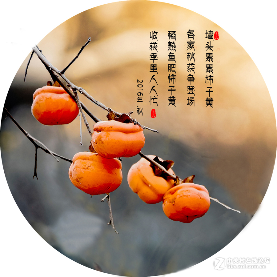 爱拍...