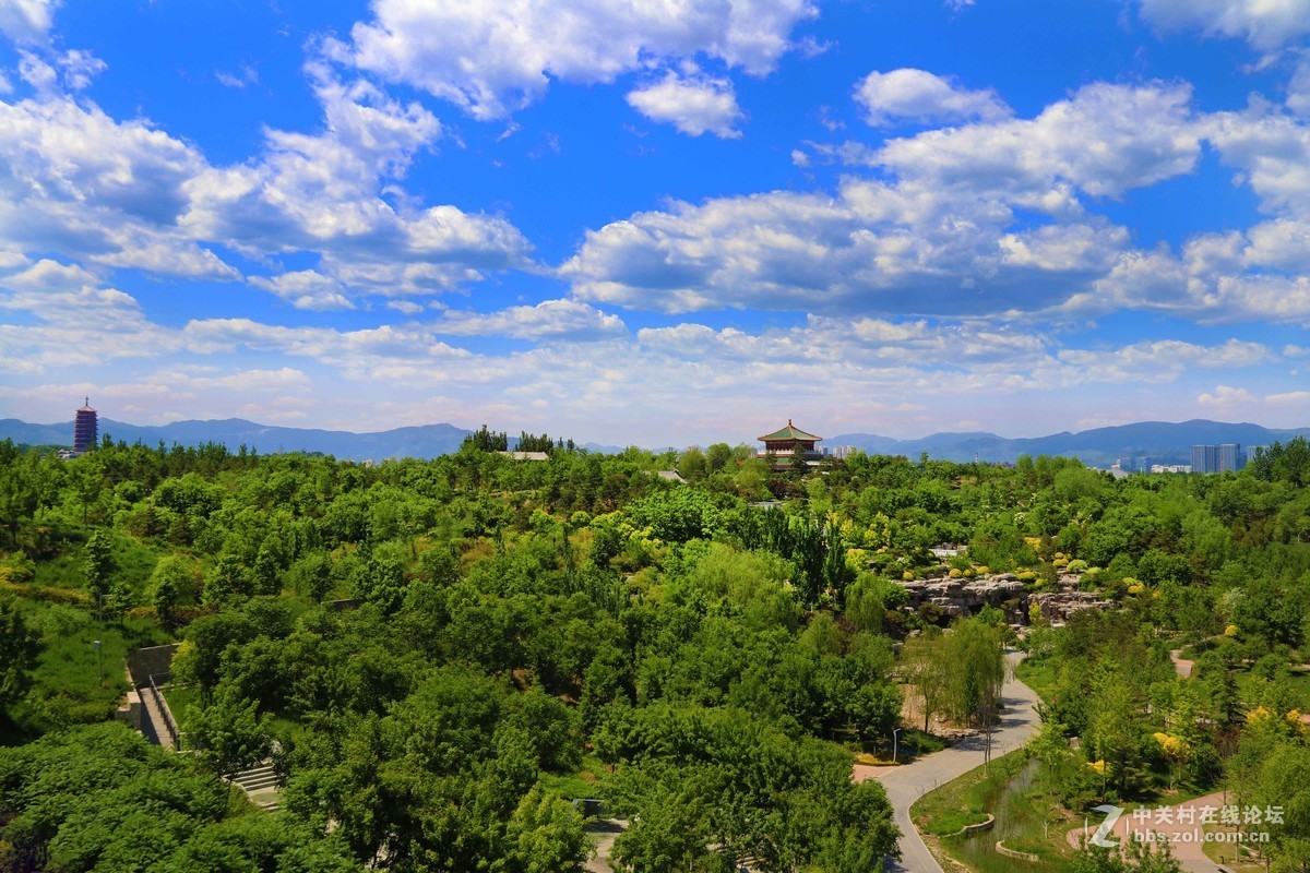 园博园随拍，欢迎朋友指导！