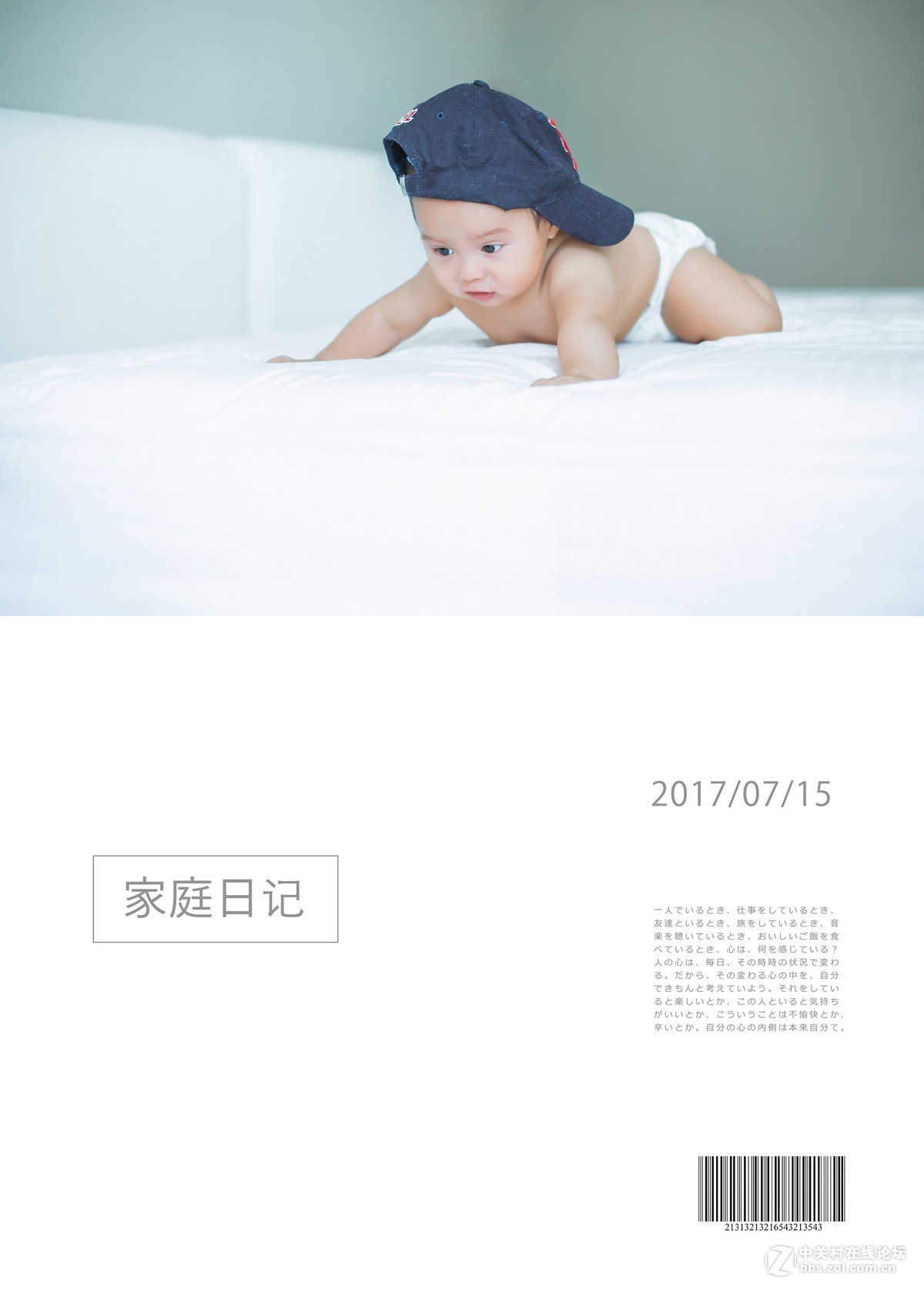 家庭日记