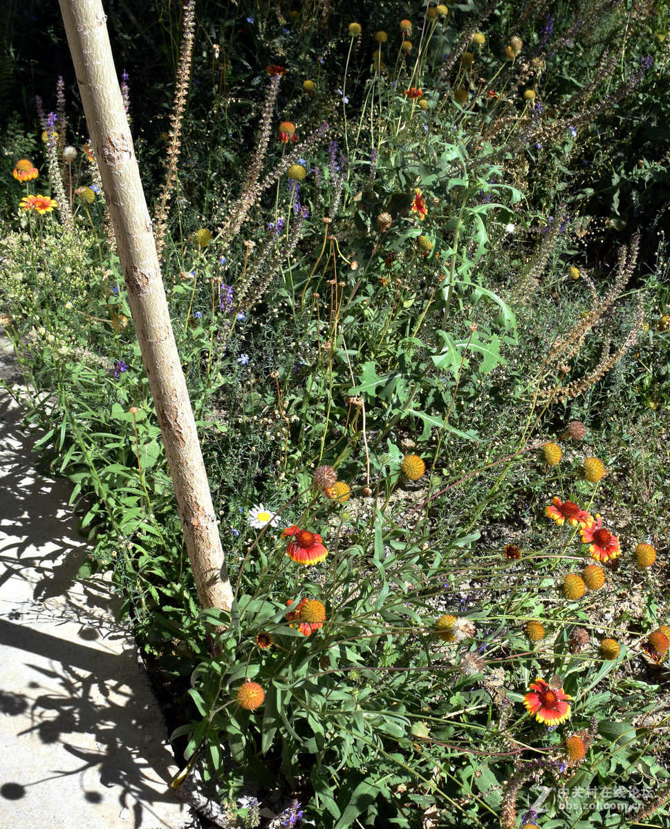 2017夏 长沙到喀什（57）G216一路向北