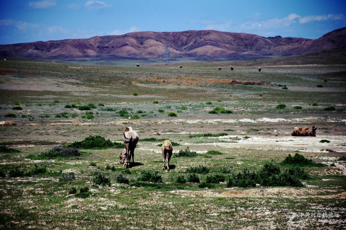 2017夏 长沙到喀什（57）G216一路向北