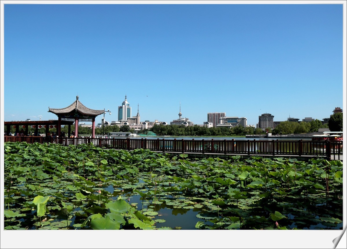 蓮花池公園