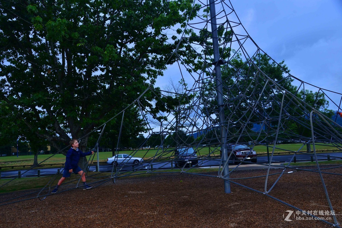 新西兰——汉密尔顿毛利人温泉酒店