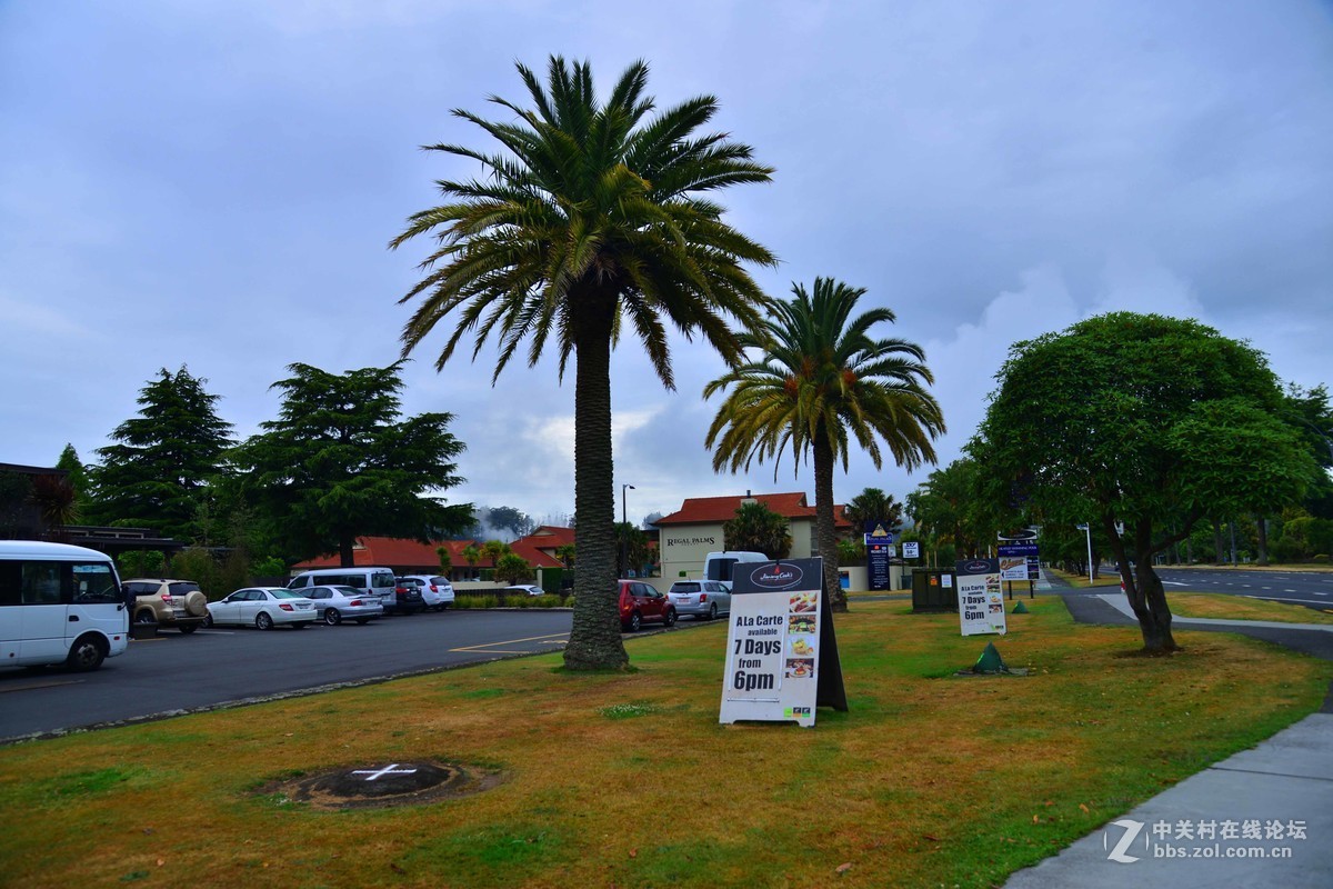 新西兰——汉密尔顿毛利人温泉酒店