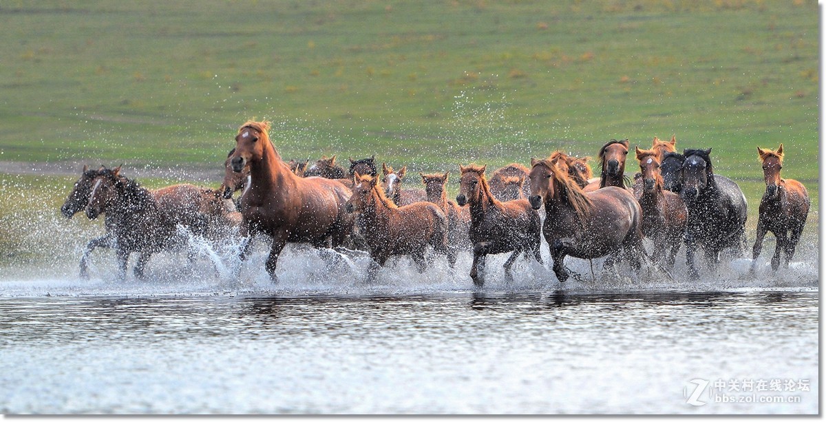 坝上水上跑马图