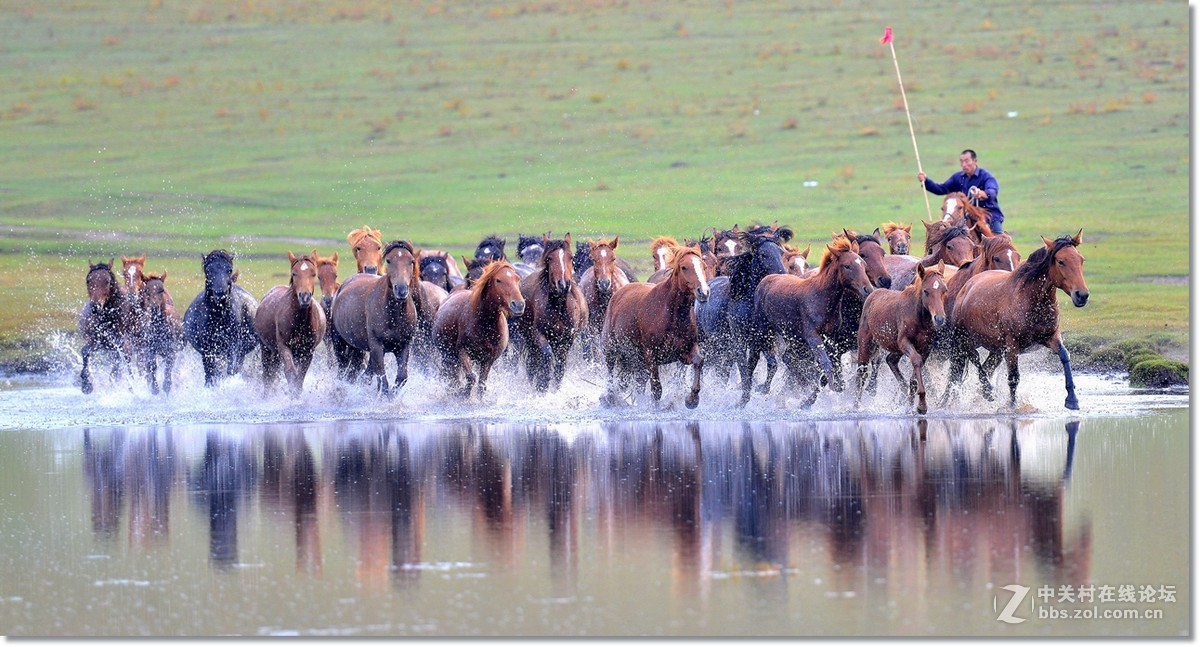 坝上水上跑马图
