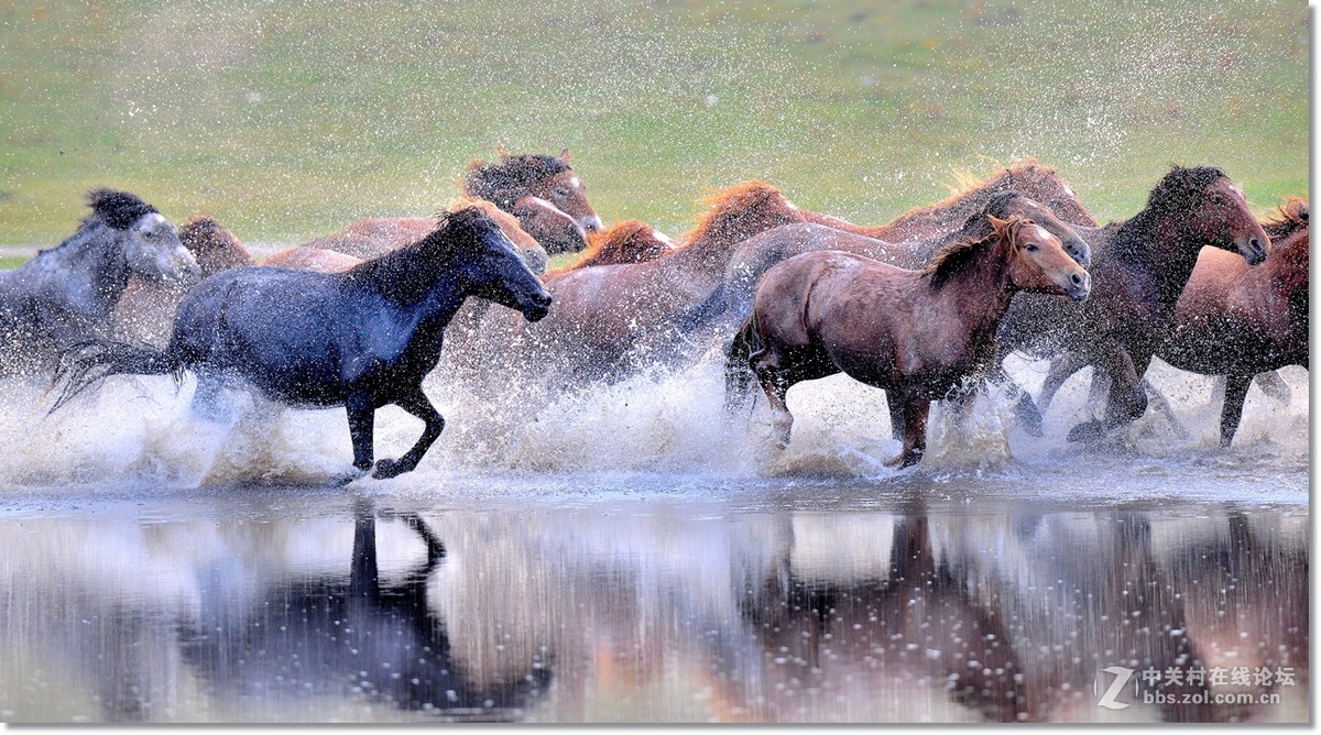 坝上水上跑马图