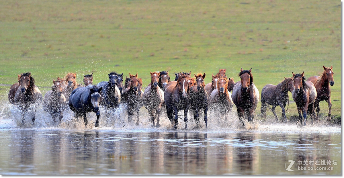 坝上水上跑马图