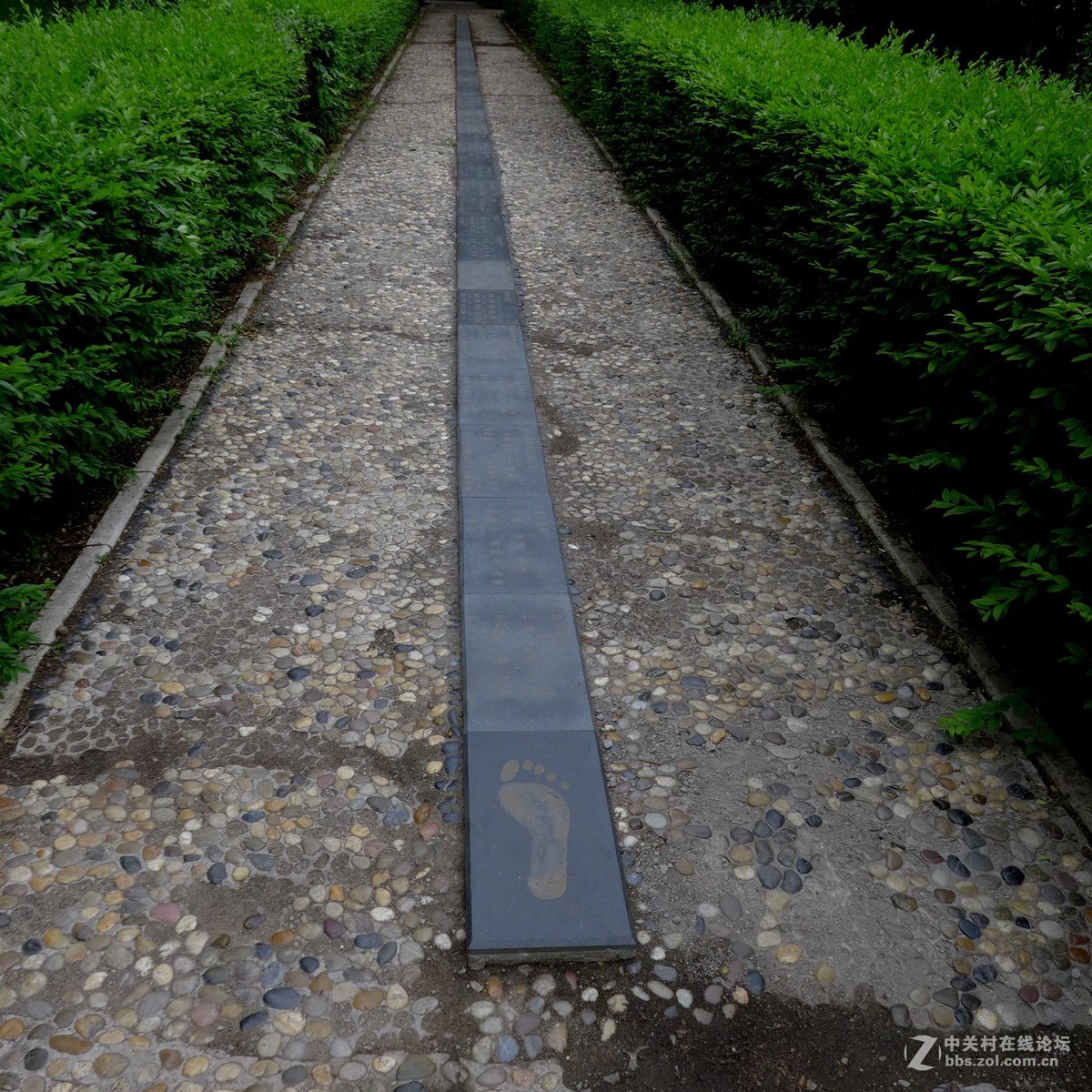 散步随拍48（小径小景），请多多指教。