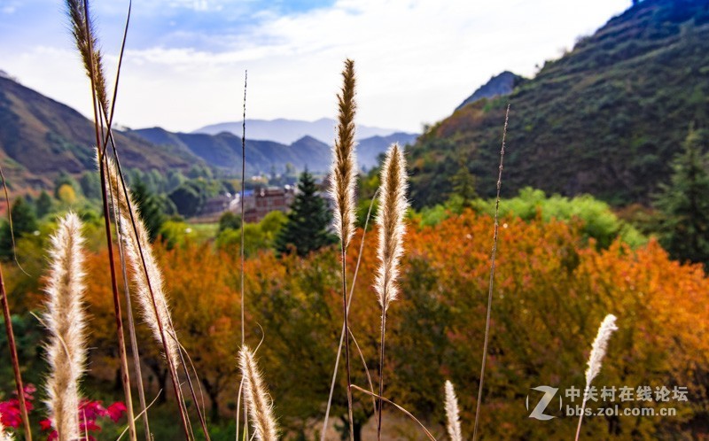 渔洞水库，秋色宜人，霜天红叶；文明用语能与昭阳“八景”之一的“洒渔烟柳”争相媲美