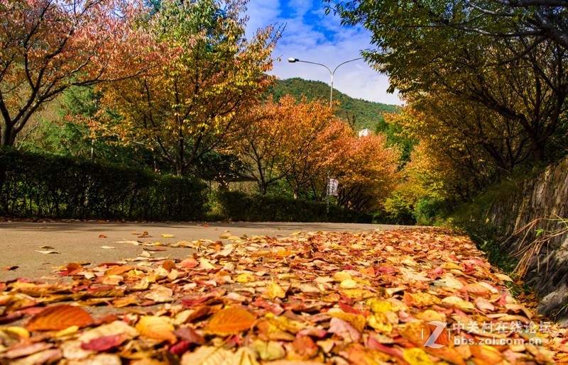 渔洞水库，秋色宜人，霜天红叶；文明用语能与昭阳“八景”之一的“洒渔烟柳”争相媲美