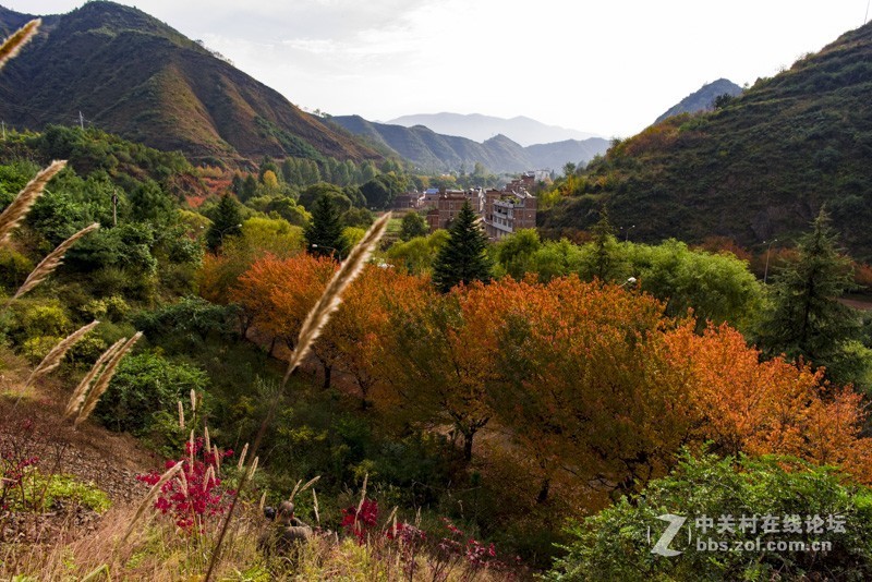 渔洞水库，秋色宜人，霜天红叶；文明用语能与昭阳“八景”之一的“洒渔烟柳”争相媲美