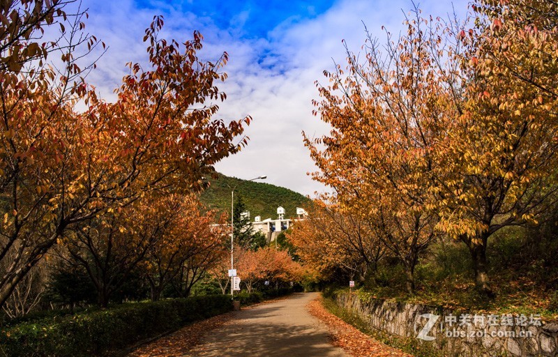 渔洞水库，秋色宜人，霜天红叶；文明用语能与昭阳“八景”之一的“洒渔烟柳”争相媲美