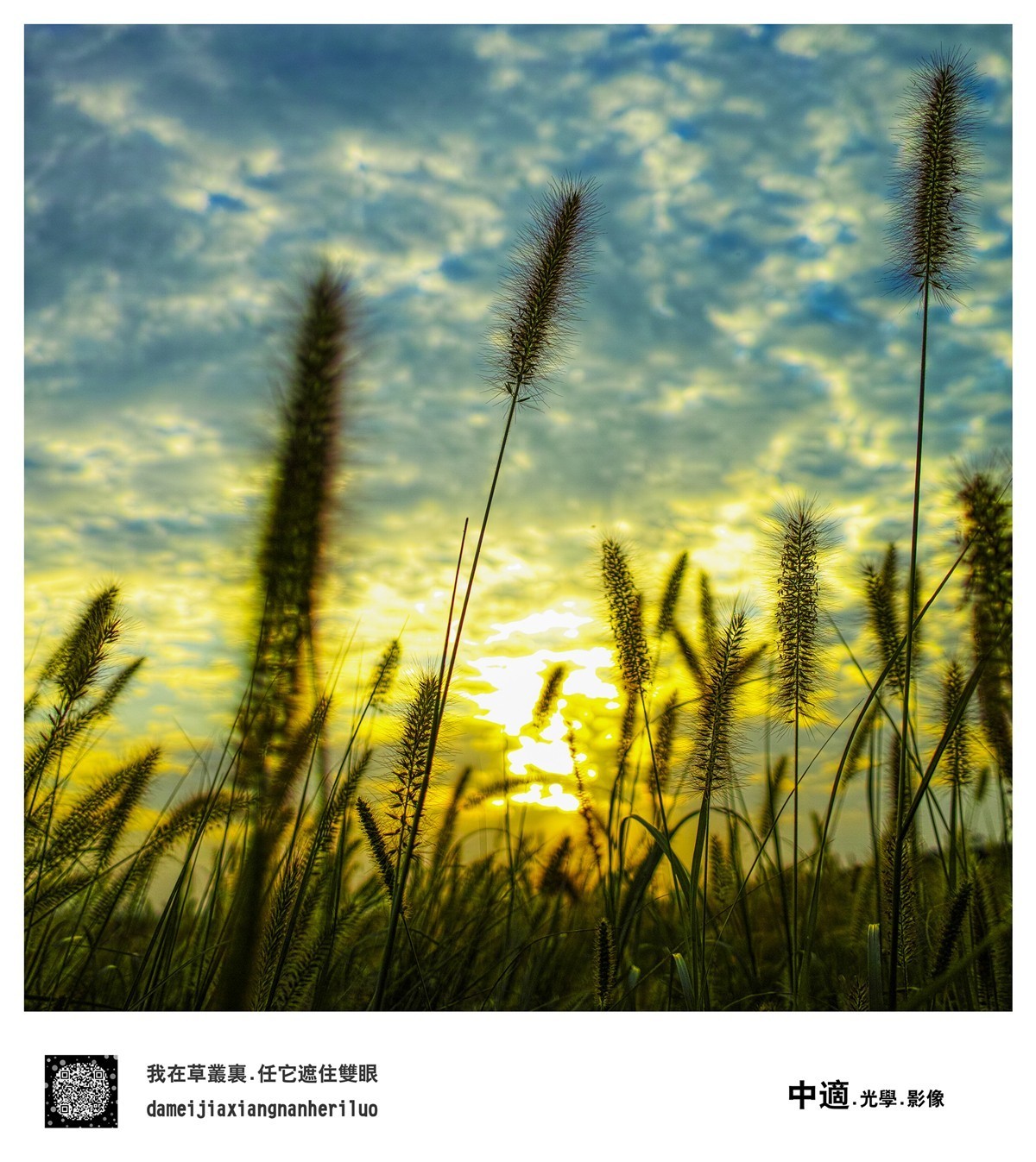 我的视界.你的身影……适马dp1m摄影作品欣赏