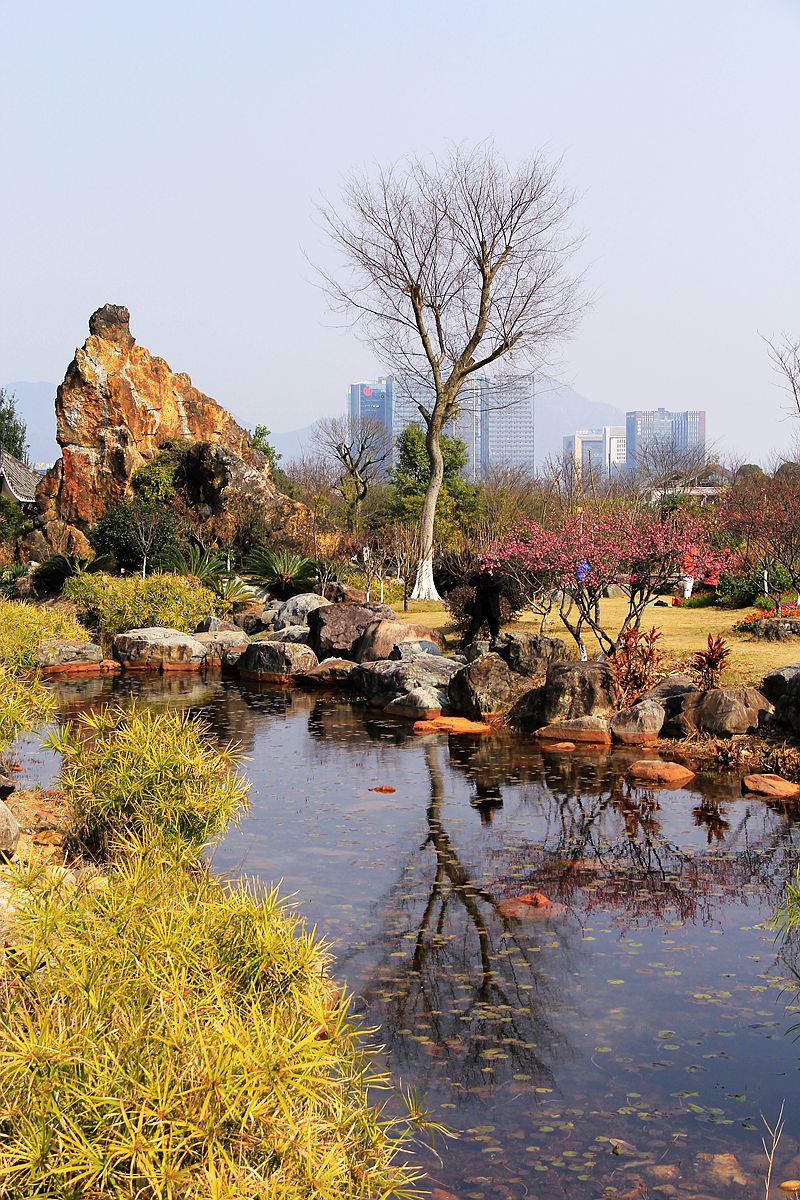 杨府山公园掠影2