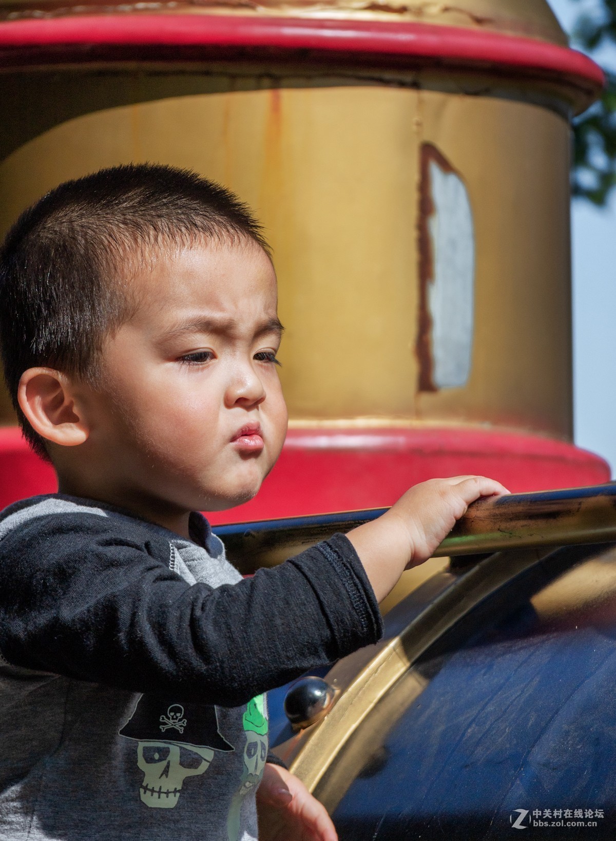 中长焦儿童抓怕