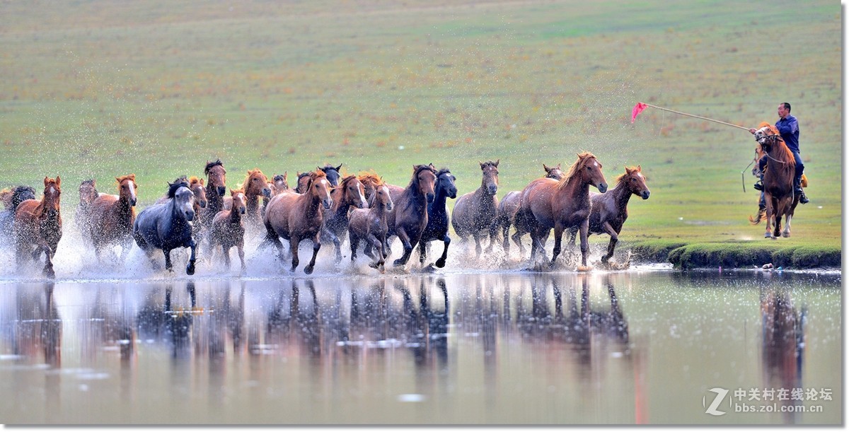 坝上水上跑马图