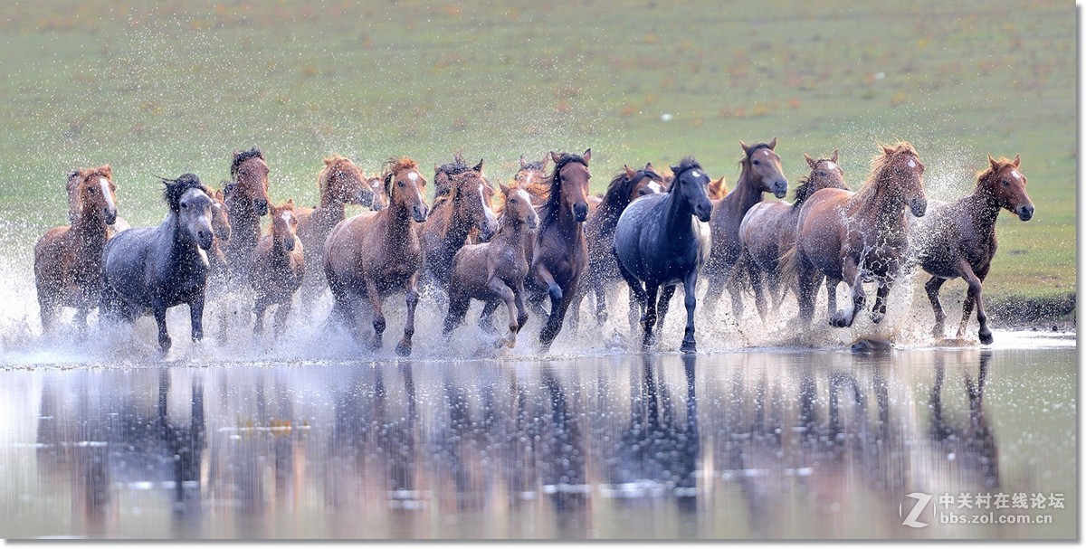 坝上水上跑马图